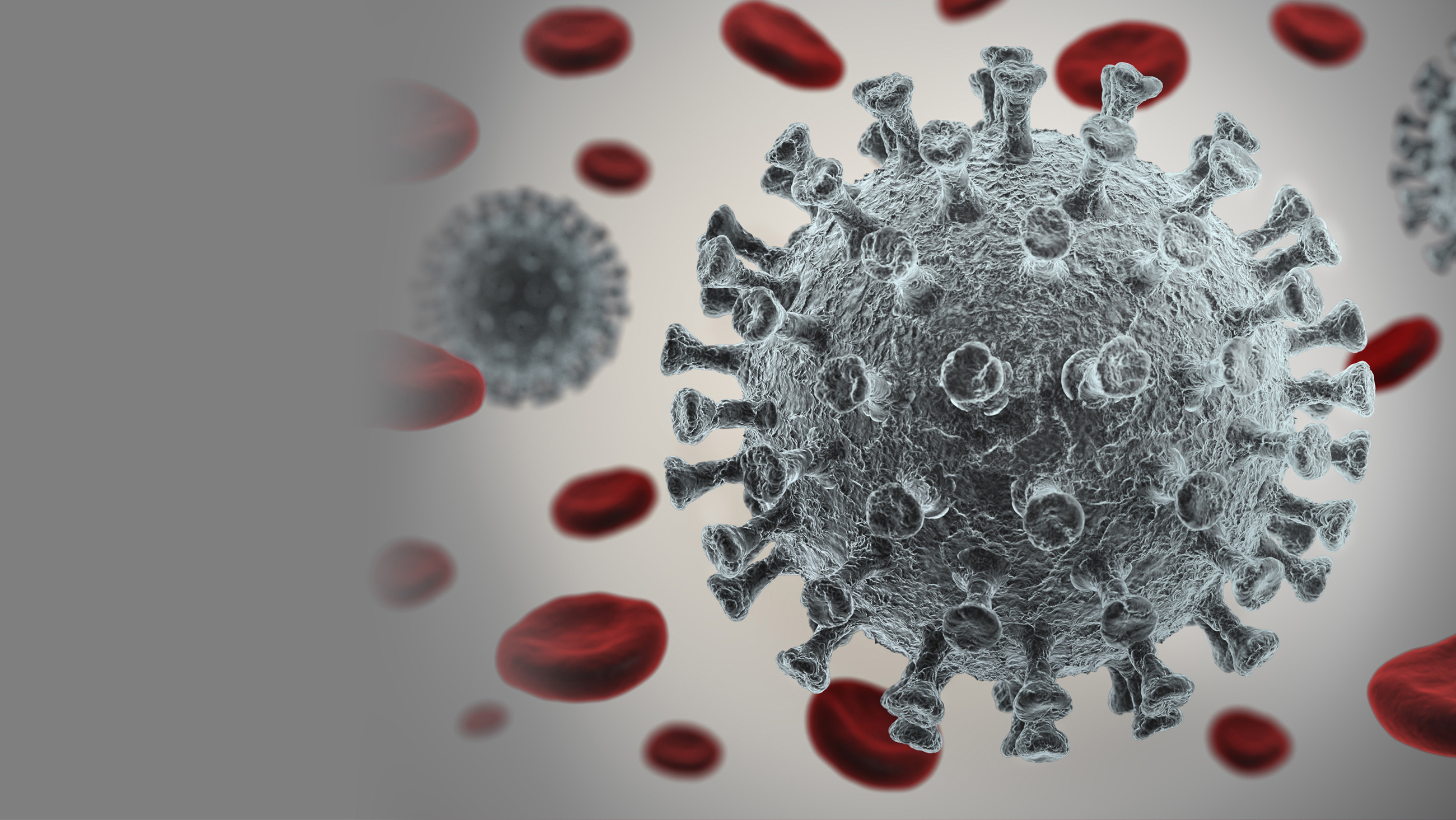 WVMA Wisconsin Veterinary Medical Association